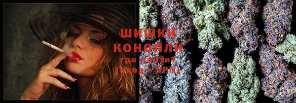 spice Нестеровская