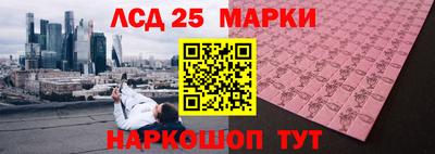 индика Жуковский