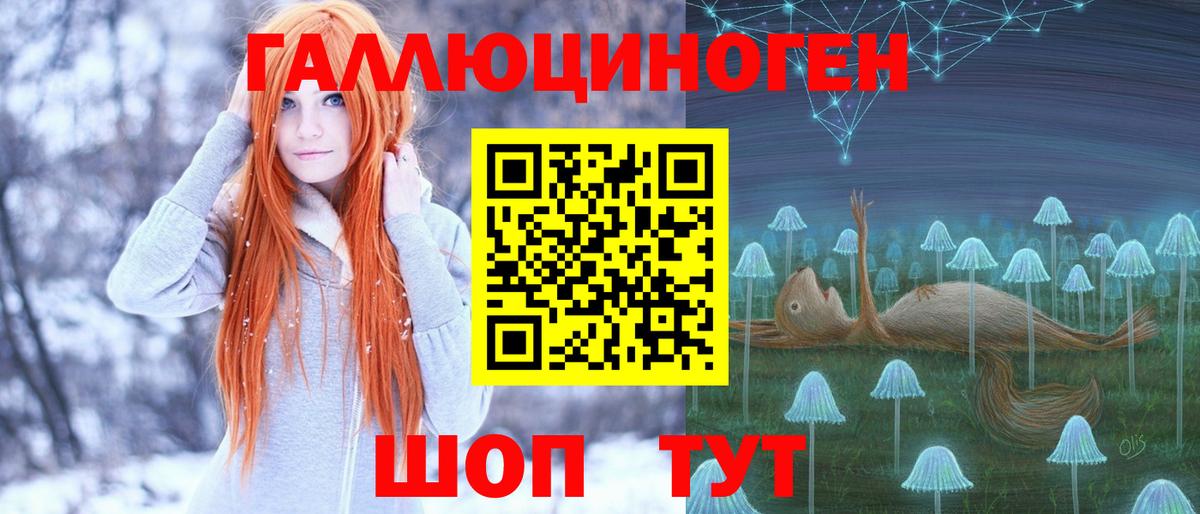 Тосно  купить   Галлюциногенные грибы MAGIC MUSHROOMS  Вход с VPN  Псилоцибиновые грибы прущие грибы 